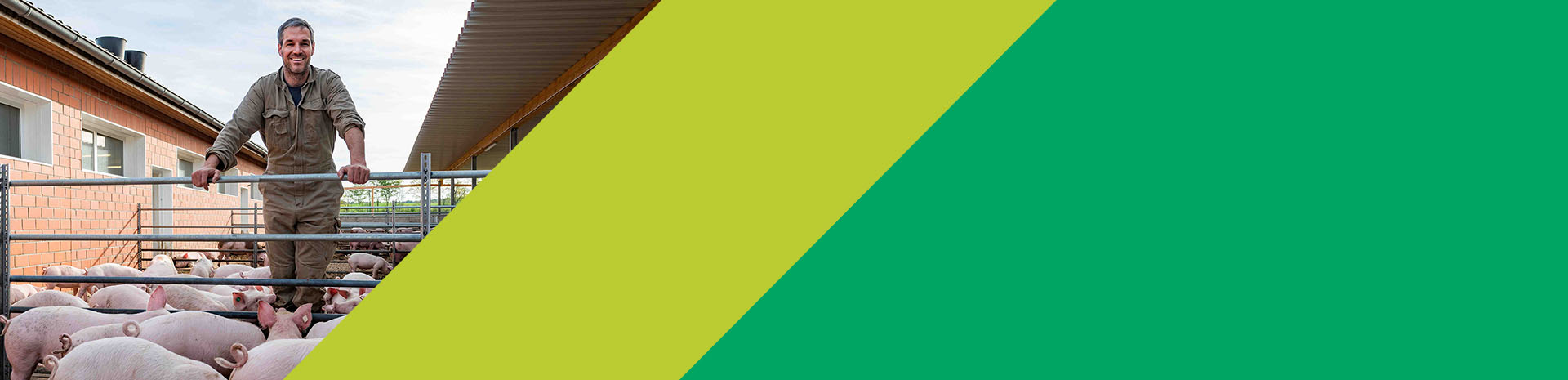 Stallumbauten Stallumbauten