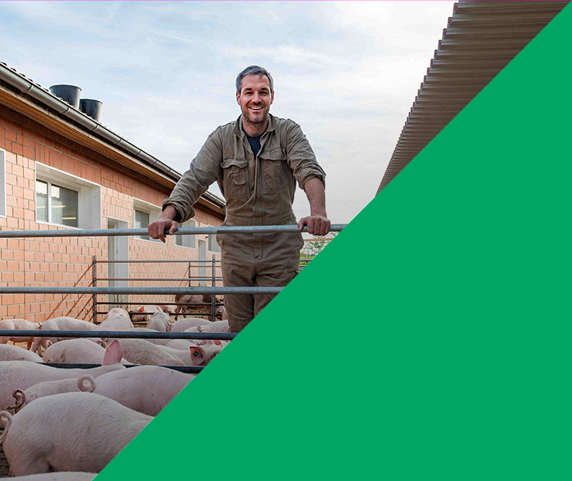 Zukunftsfelder im Fokus // Stallumbau für mehr Tierwohl Zukunftsfelder im Fokus // Stallumbau für mehr Tierwohl