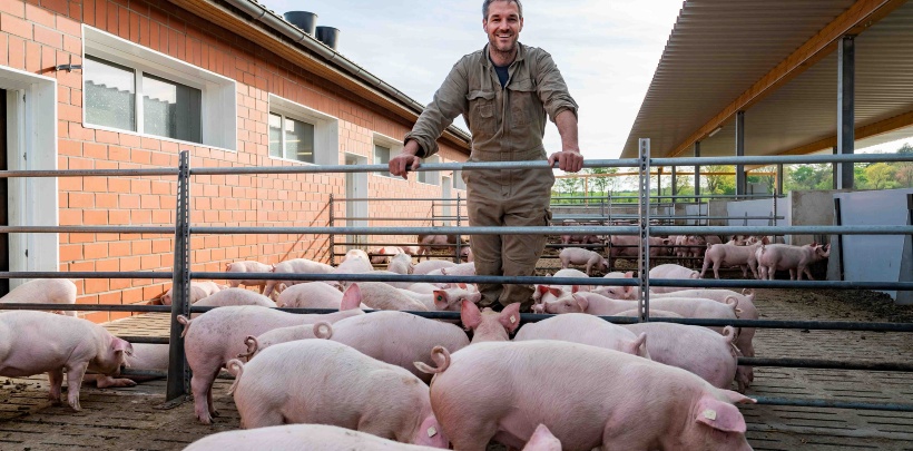 Zukunftsfelder im Fokus // Stallumbau für mehr Tierwohl